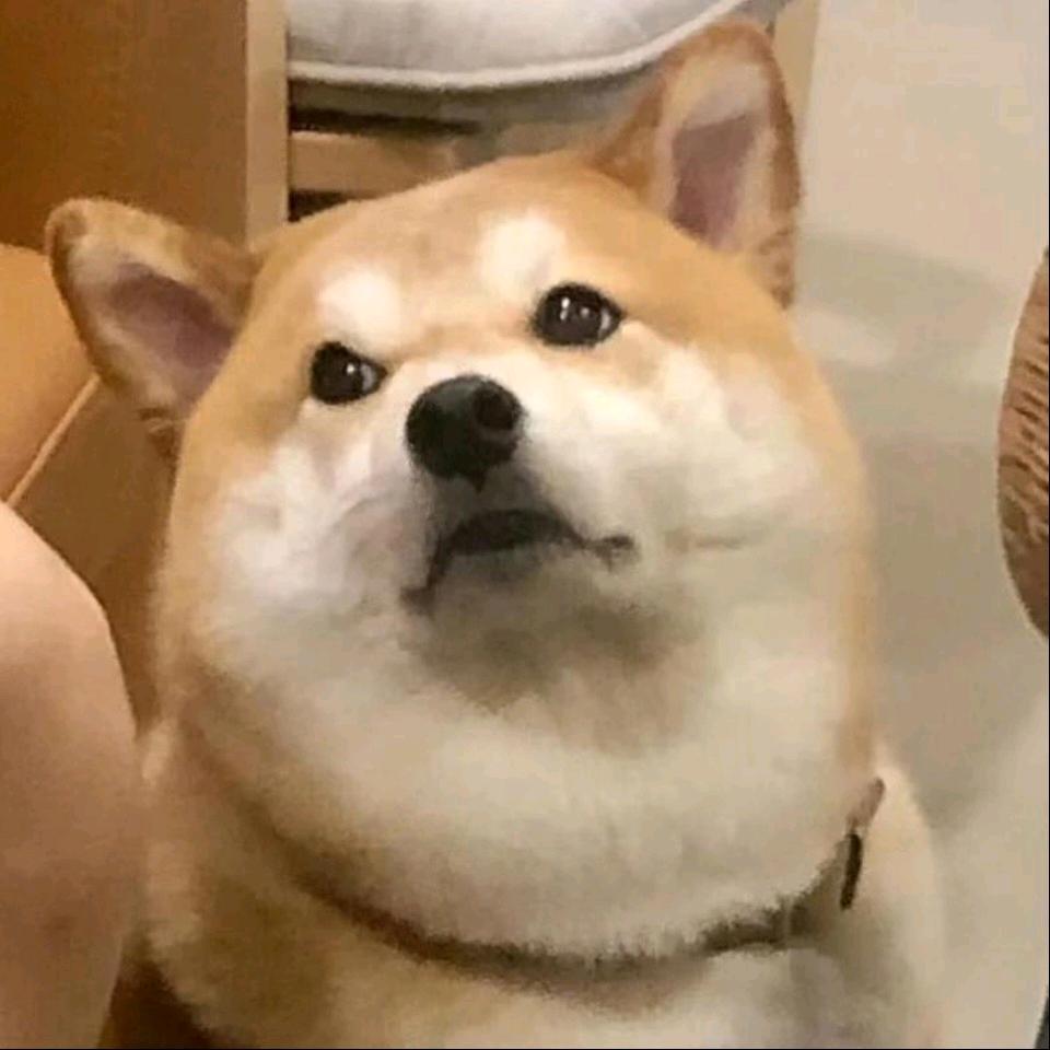 今天的风儿甚是喧嚣