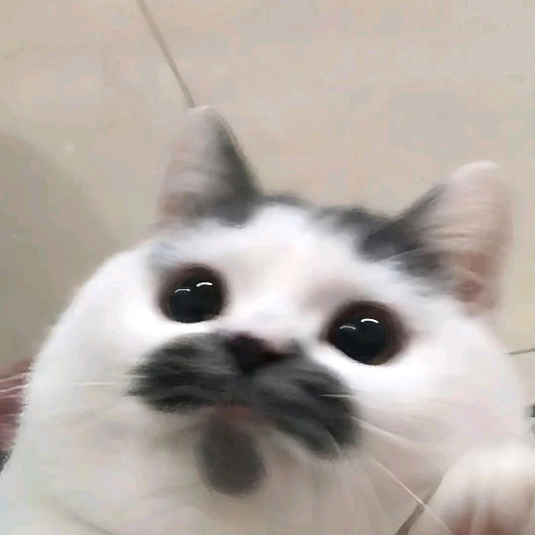 柒丶