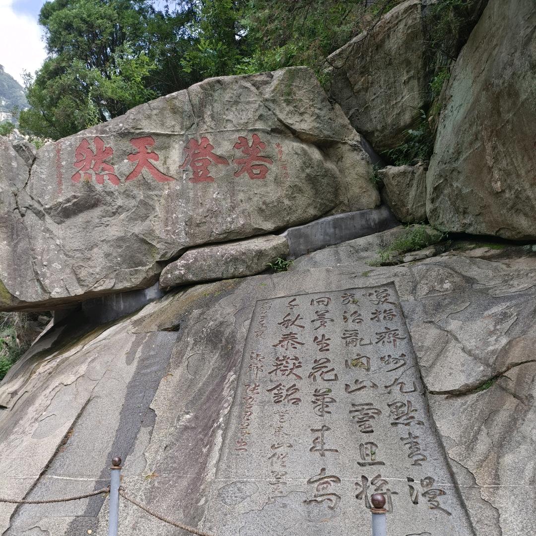 糊图哥