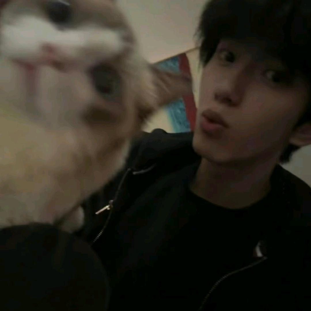 会做面包的小熙