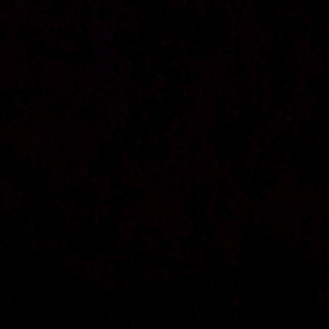 再也不开免密支付了一个点错就下单ノへ￣、