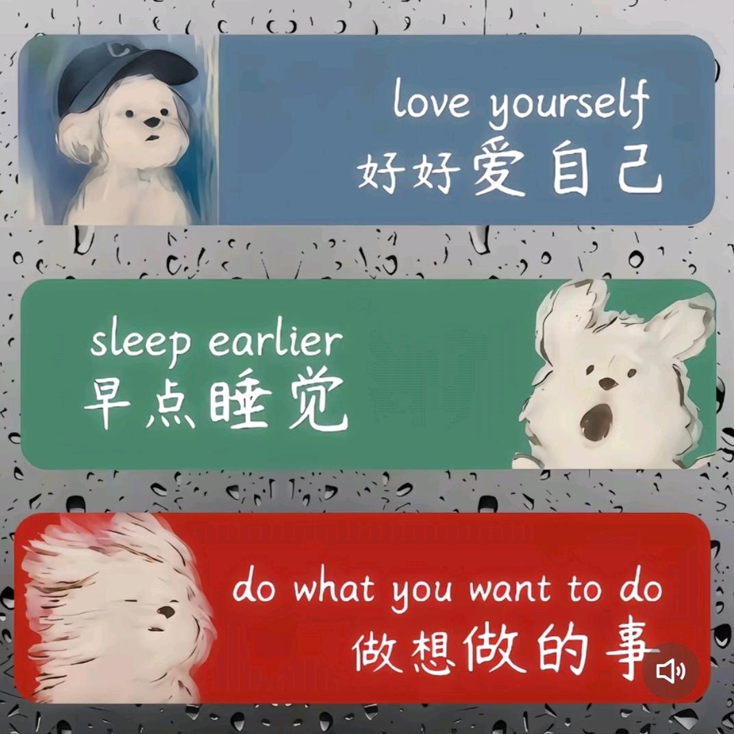 自由资金