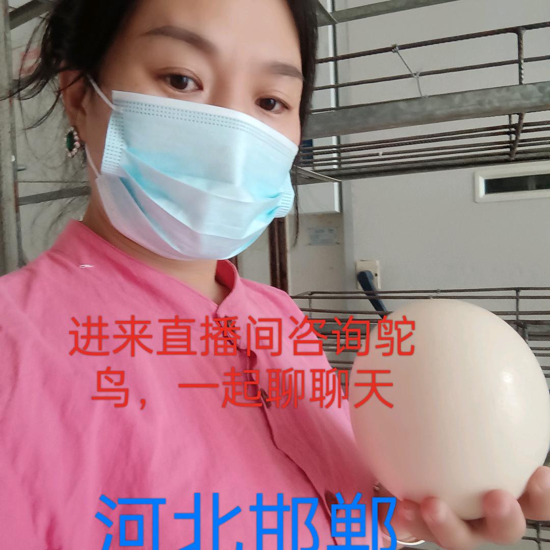 鸵鸟姐6.21号12点首播