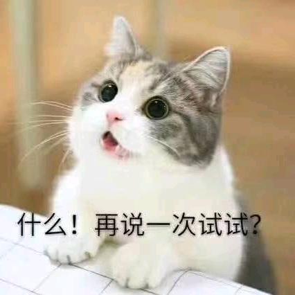 ℳ°gnoR_l。