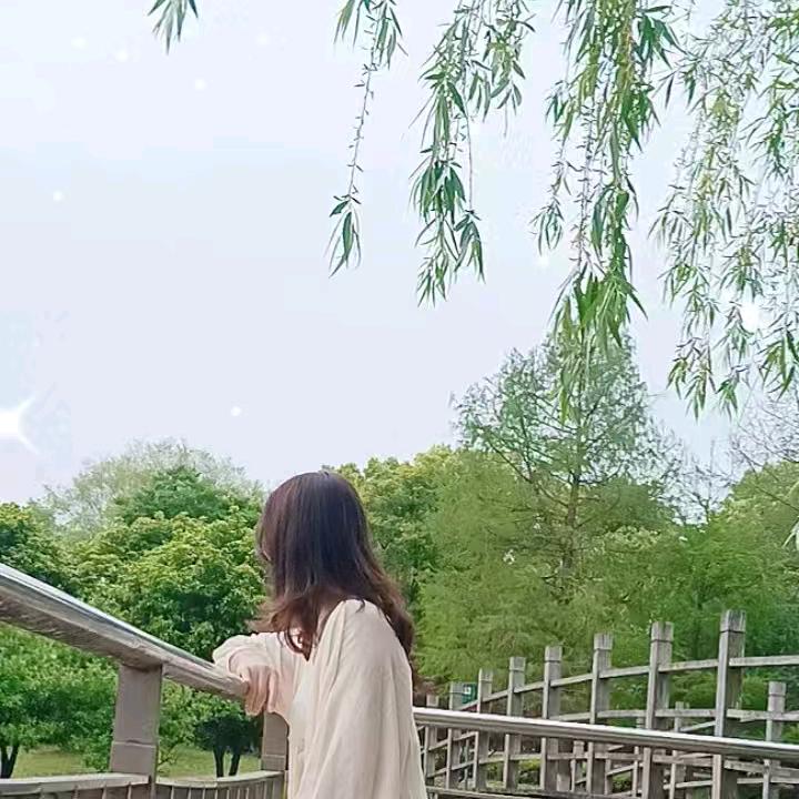 布丁 糖糖