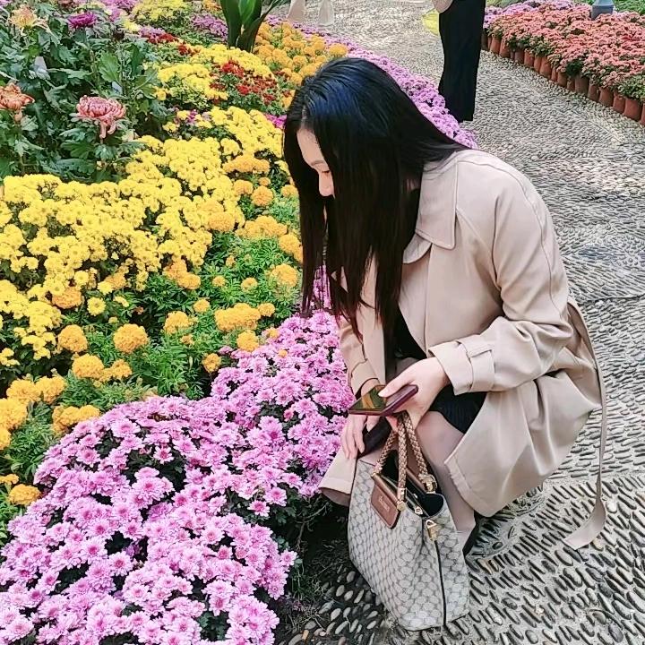 赐运良来💗💗