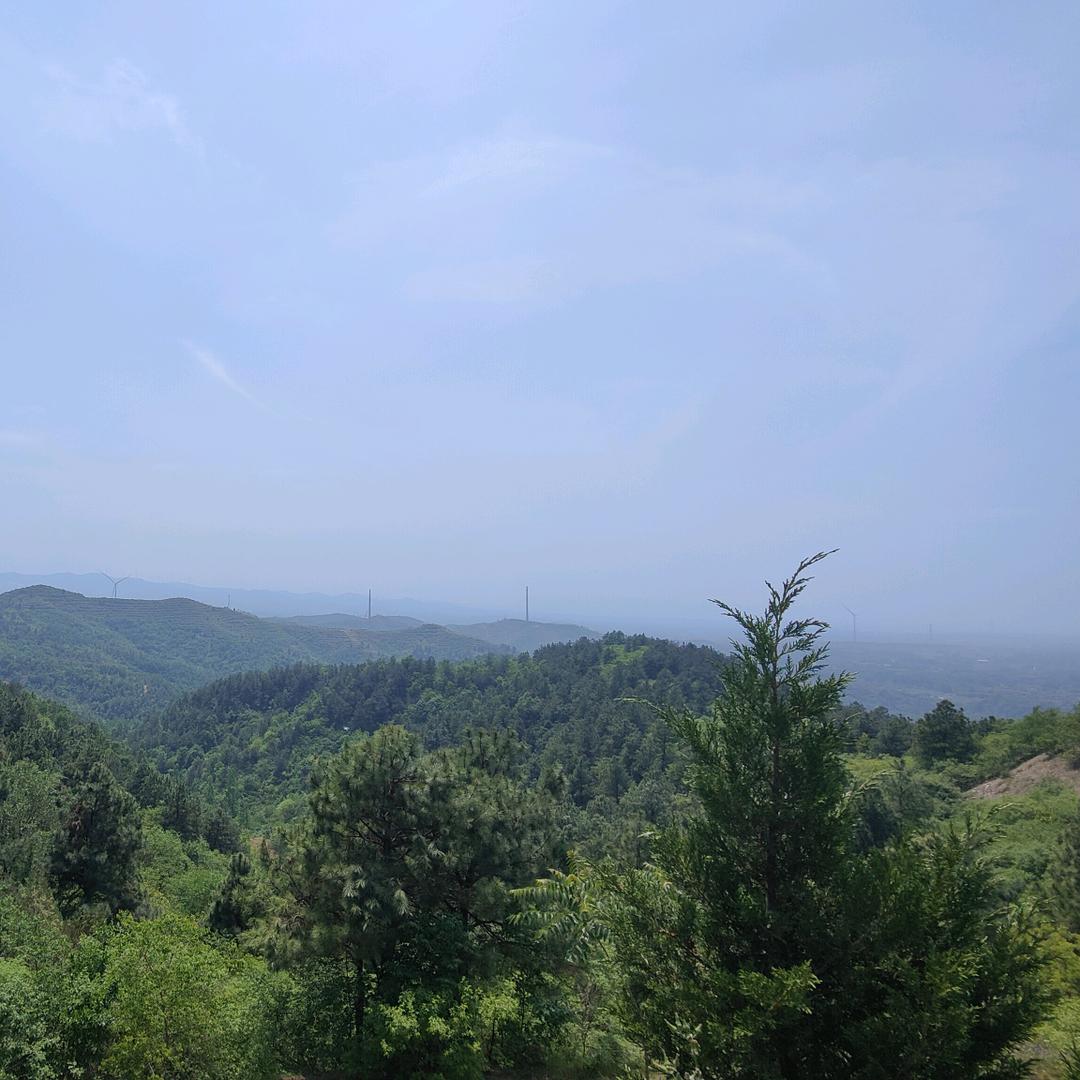 布局装修魏先生