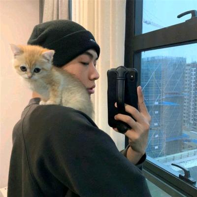 比奇堡跑龙套的鱼🐟