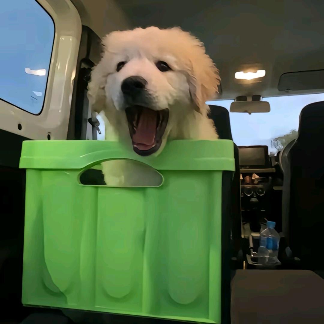 自带光环的宇