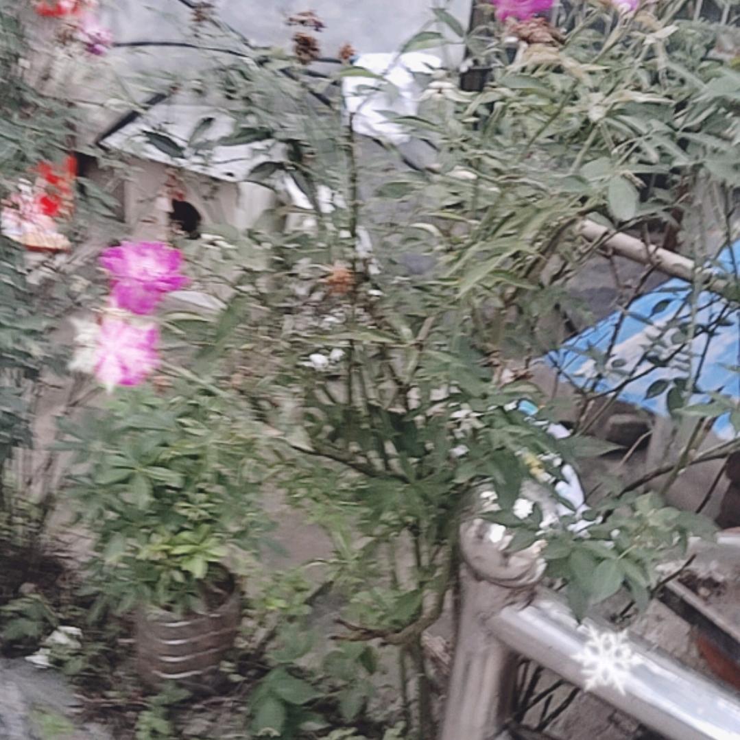 懂你—