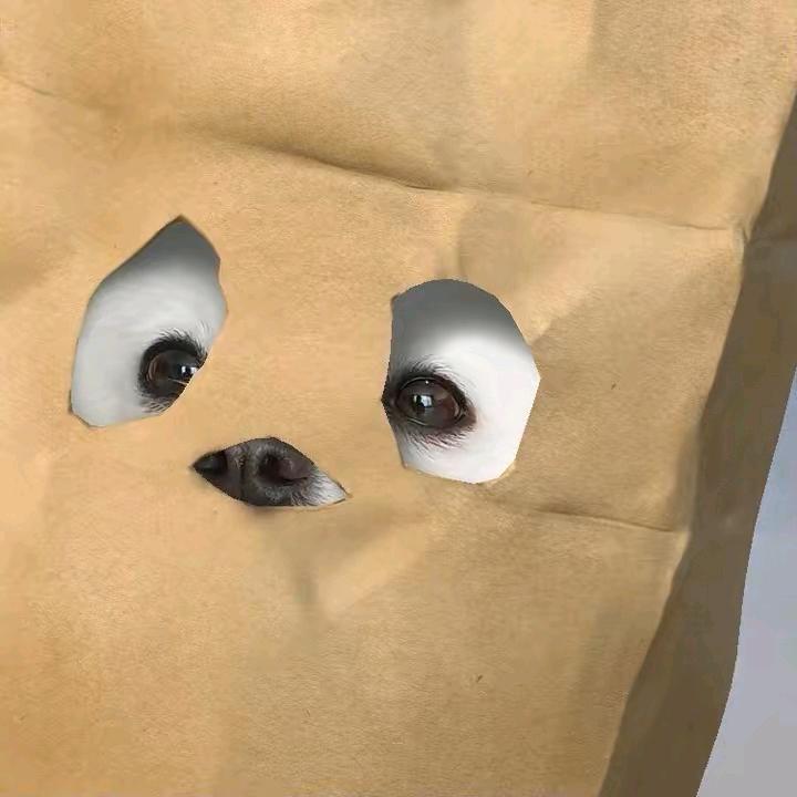 楠楠