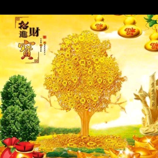 翟老师管理员 泓羽宝贝