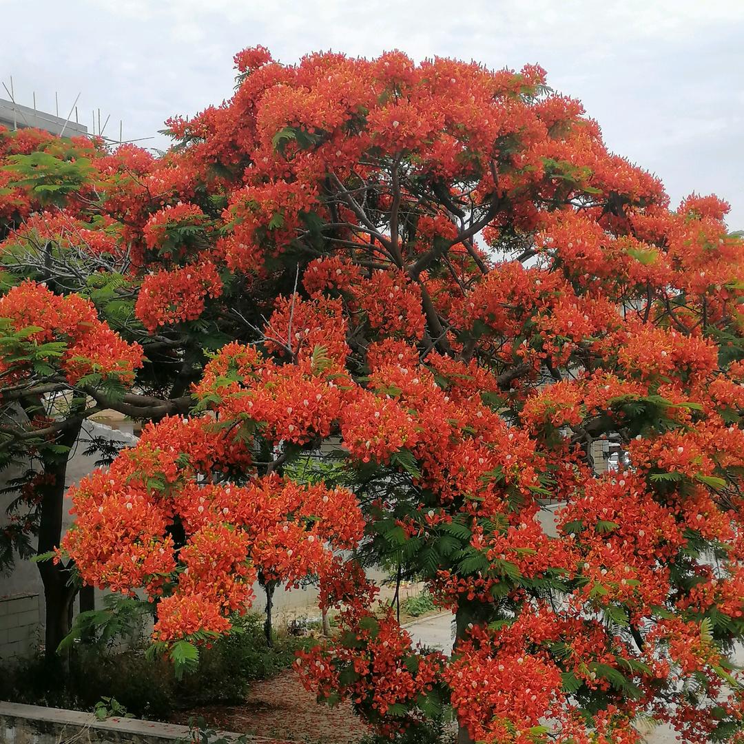 反观世间，智慧开起