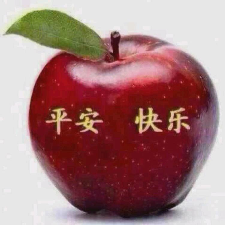 ❄️雪后初暖阳☀️