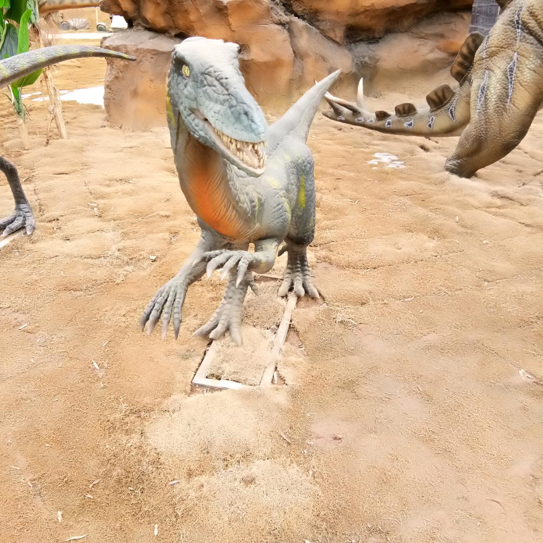 野狼
