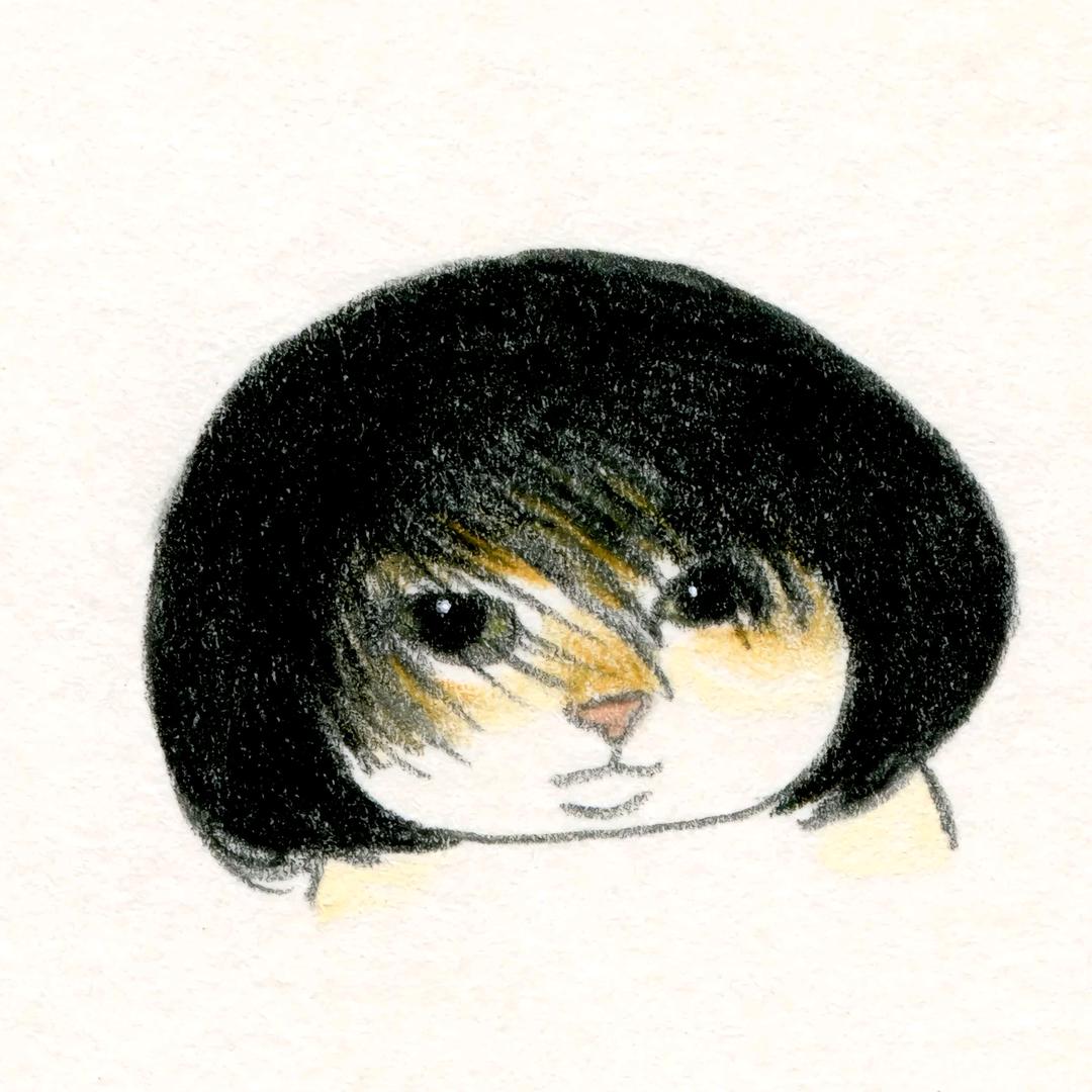 年 年