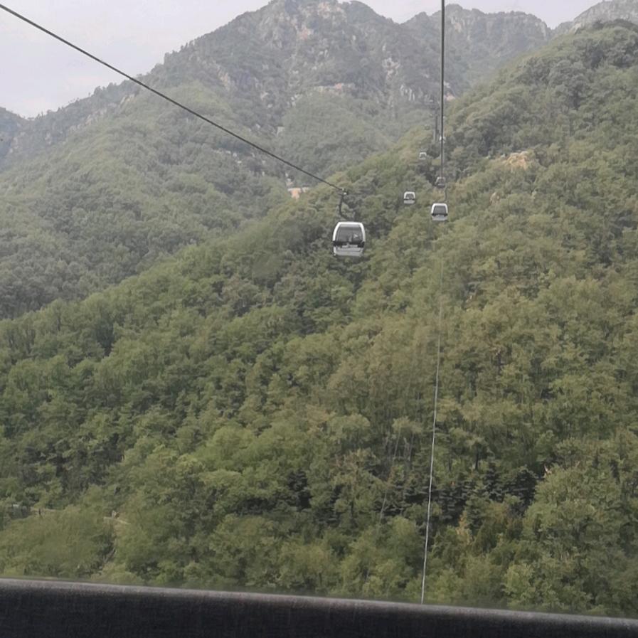 马杰