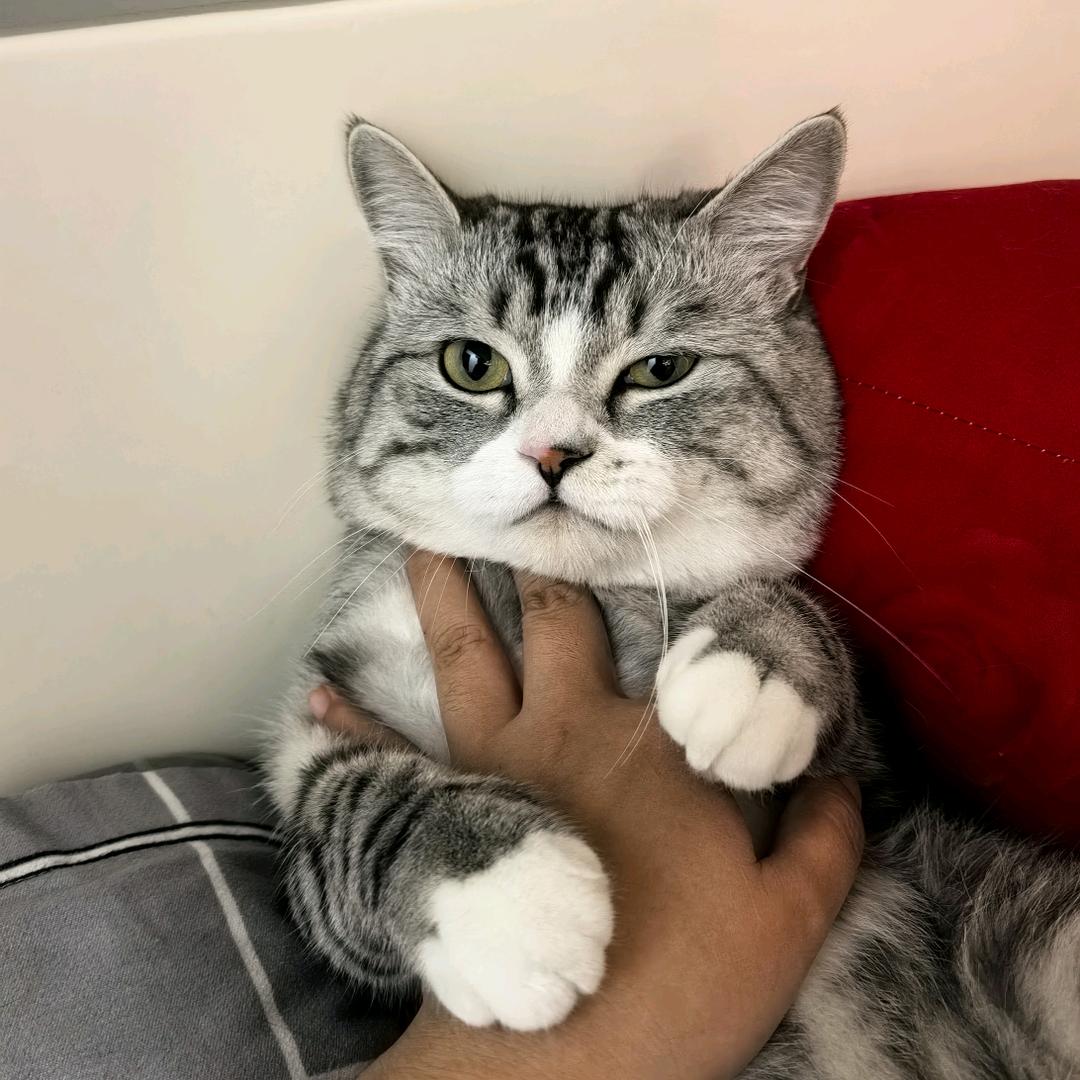 我妈已经三天没有打我啦～～～