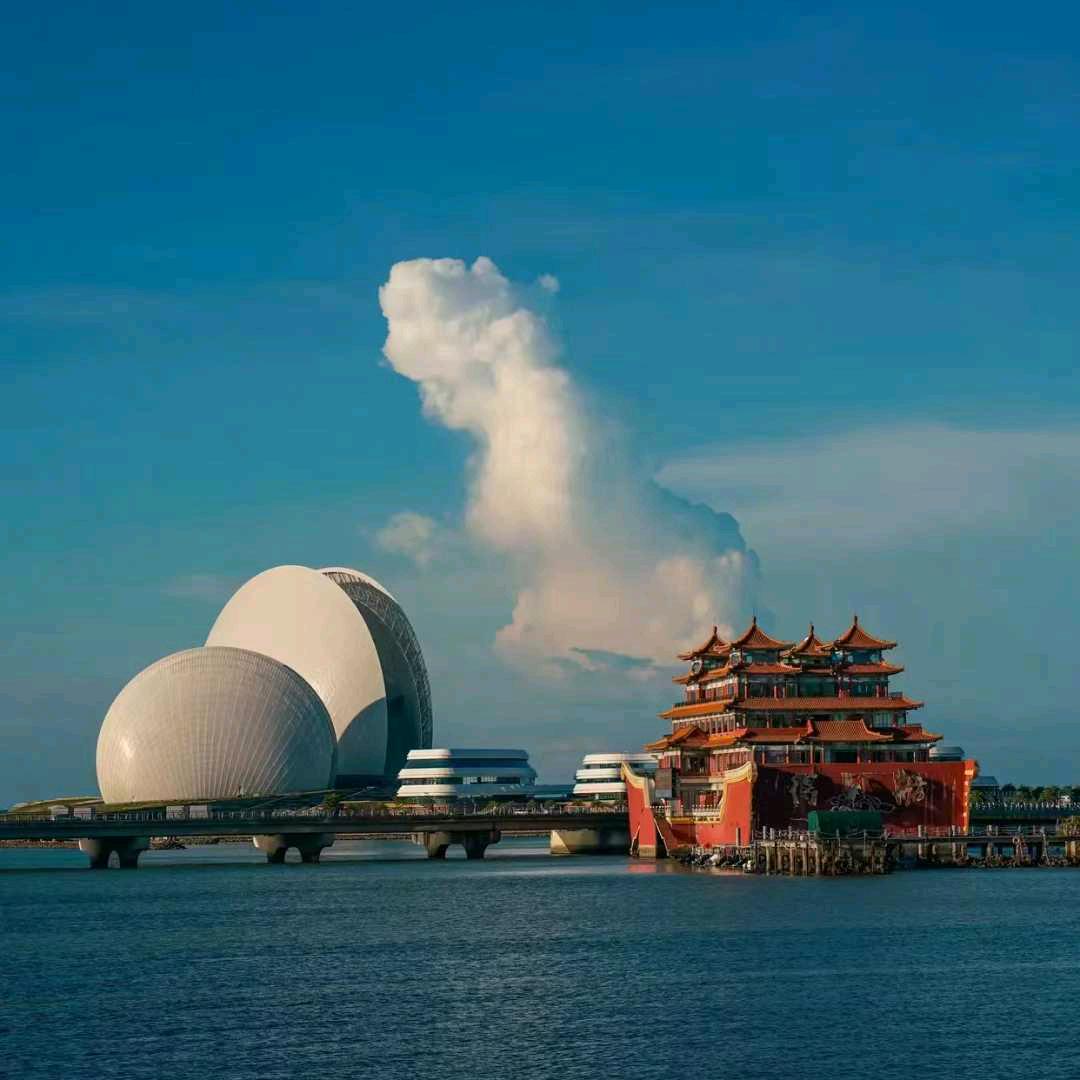奔跑的小🐷