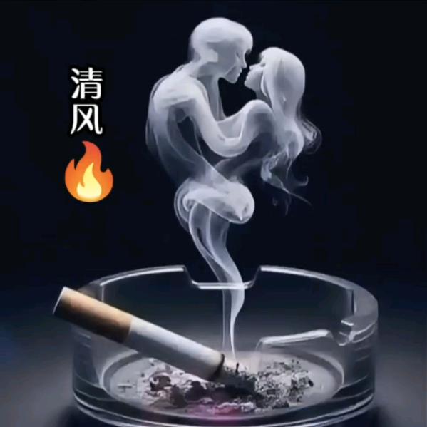 清风🔥