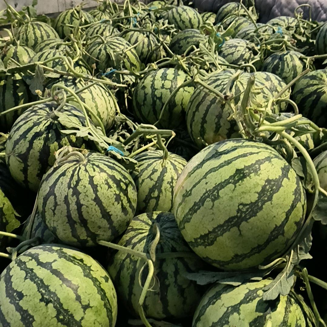 菏泽水果阿彪