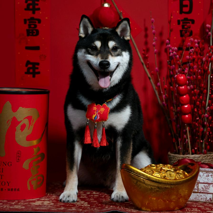 伍德母舰