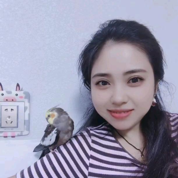 阿楠带你吃喝玩乐