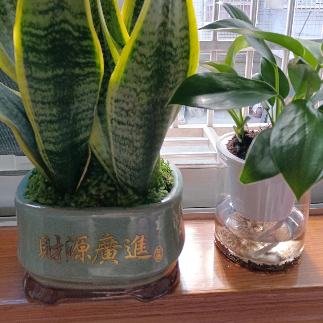往事随风