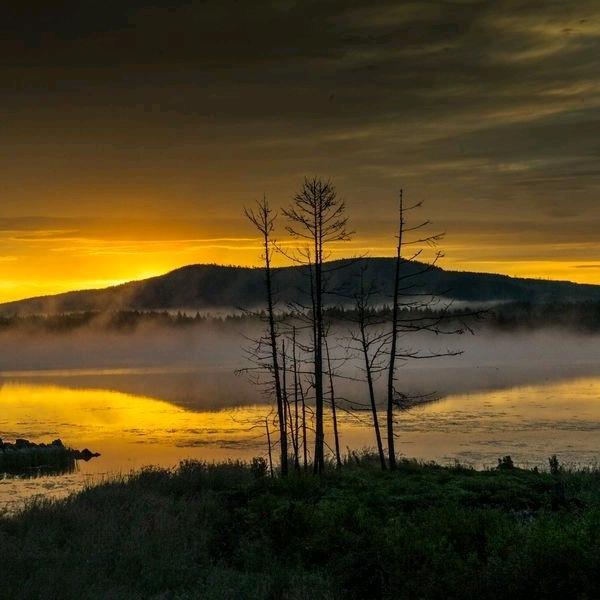 大风起兮云飞扬