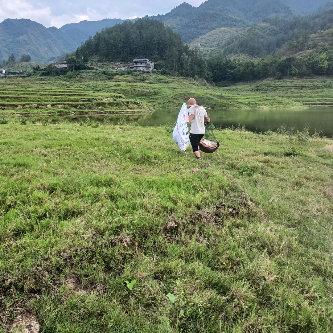 想起来了吗？？