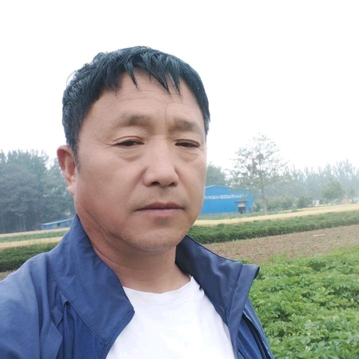 亳白芍种植管理张如意