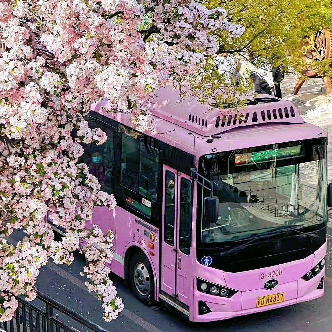 许诺