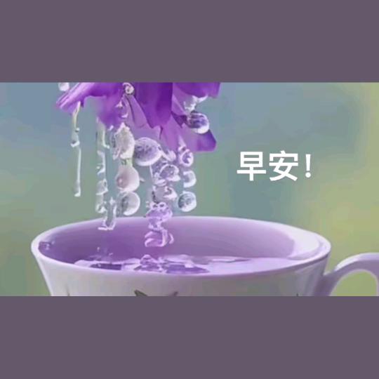 海哥