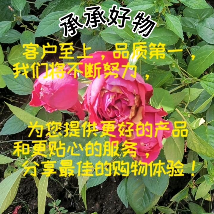 承承好物