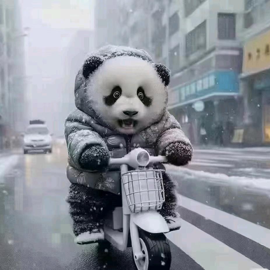 一倾风月一流年