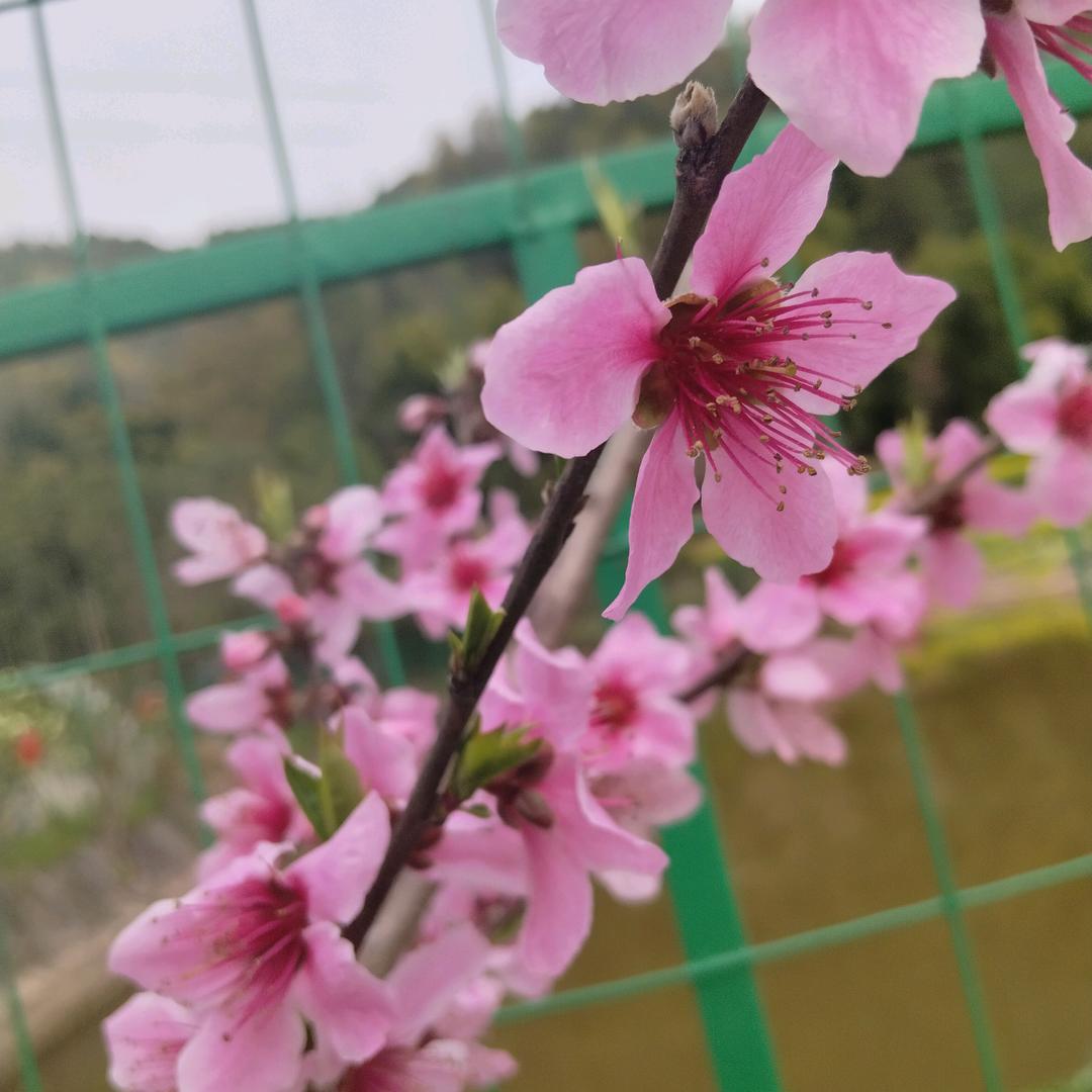 有风就有雨