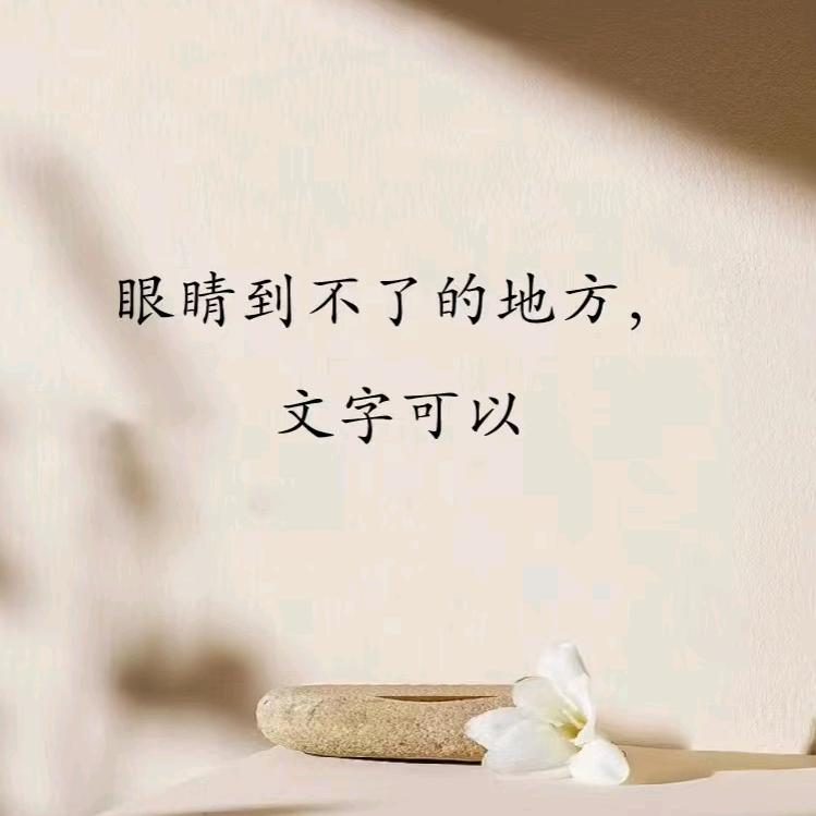 书页集