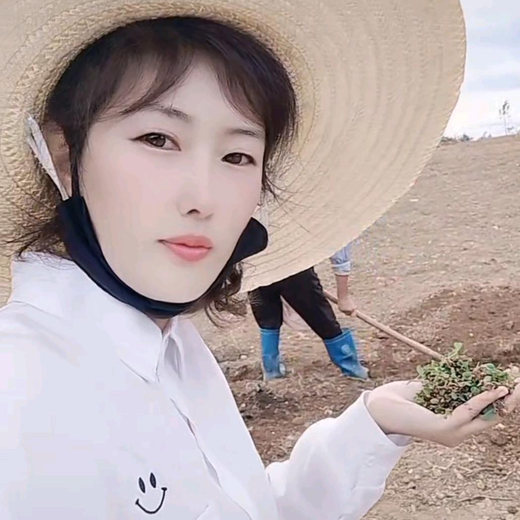 姐的故事你不懂