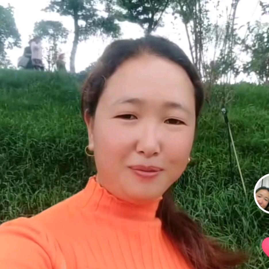 红玫瑰🌹