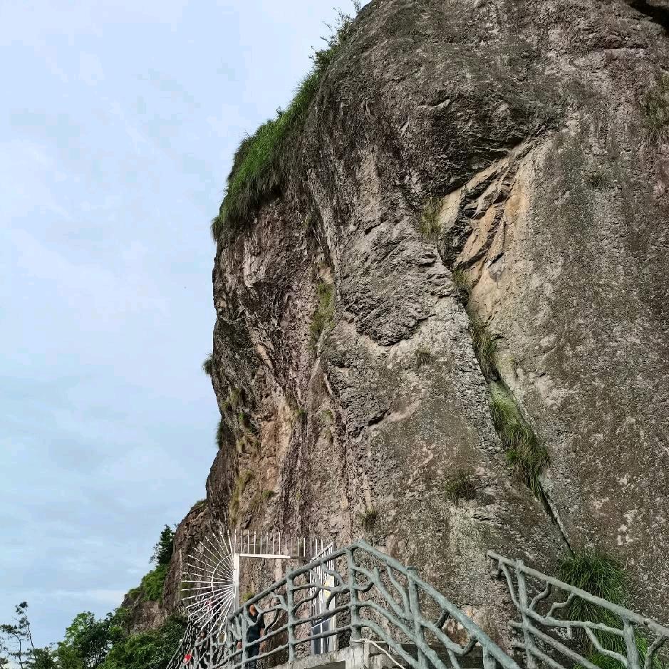 银哥