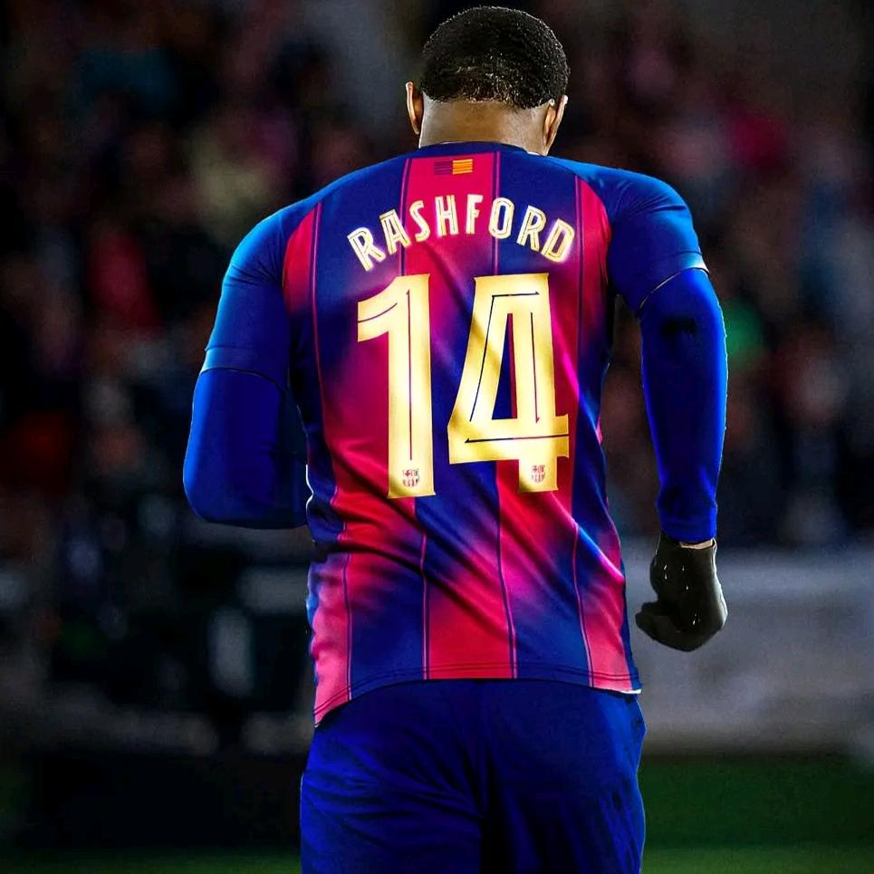 14.🏟️