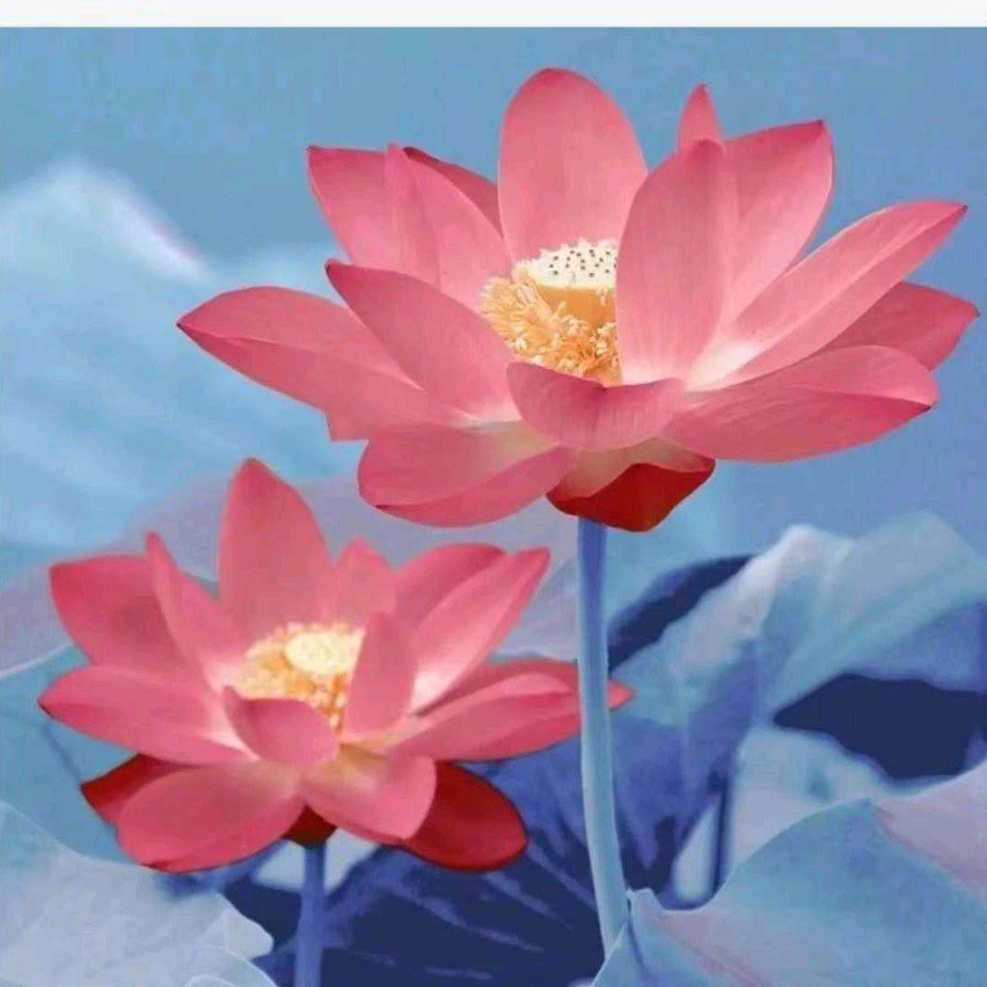 钻妈好物严选❤️