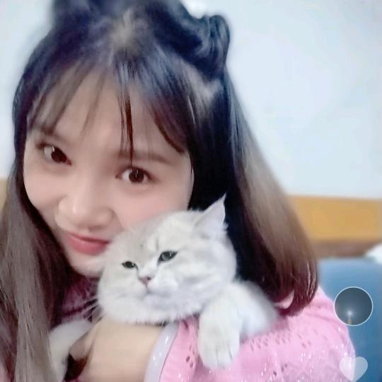 燕飞鸟凉（禁止连赞）