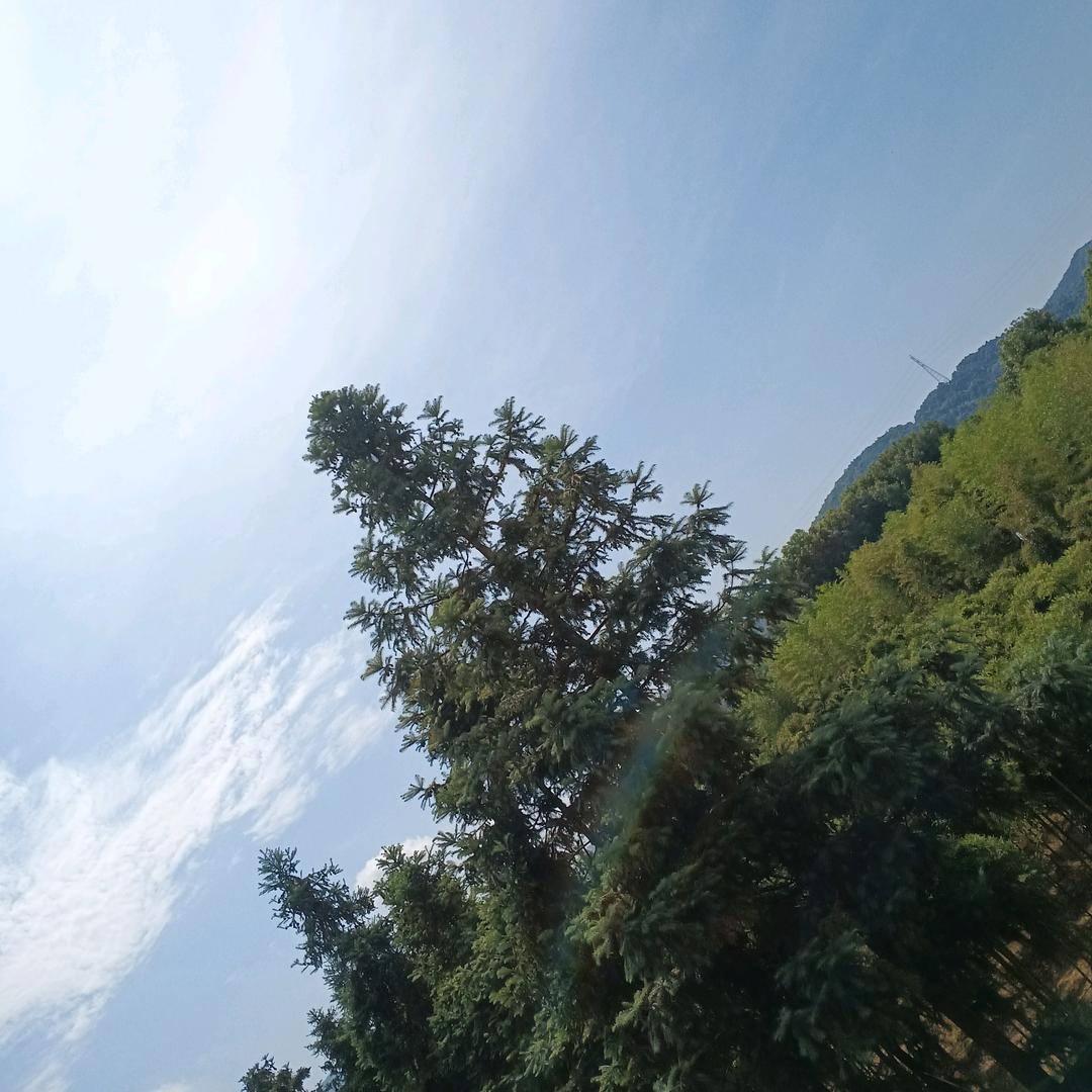 浪子回头