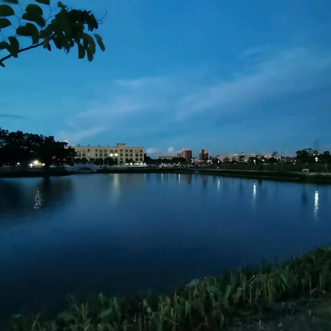 吐了噜噜噜