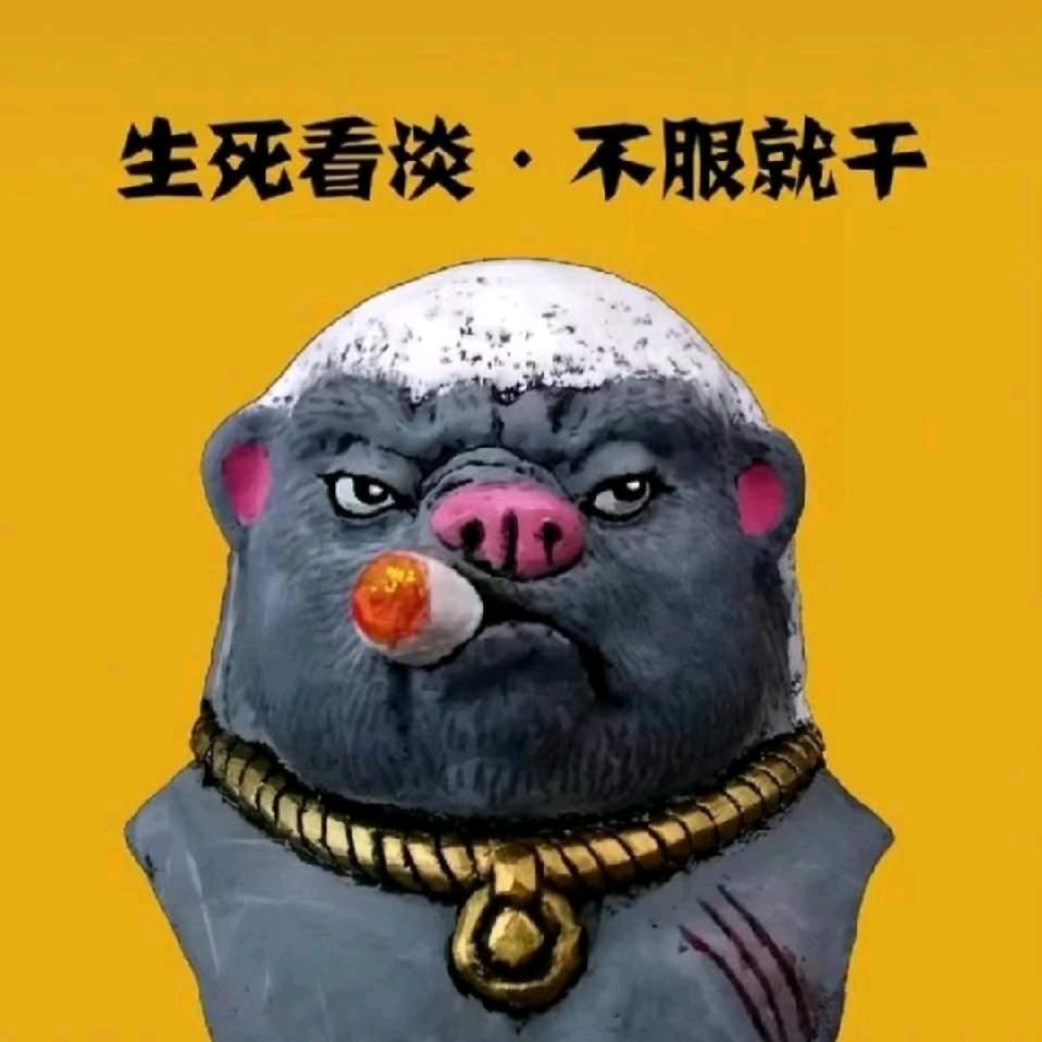 大肚蝈蝈