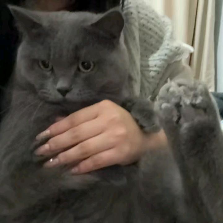 天道五十，吃我一觉