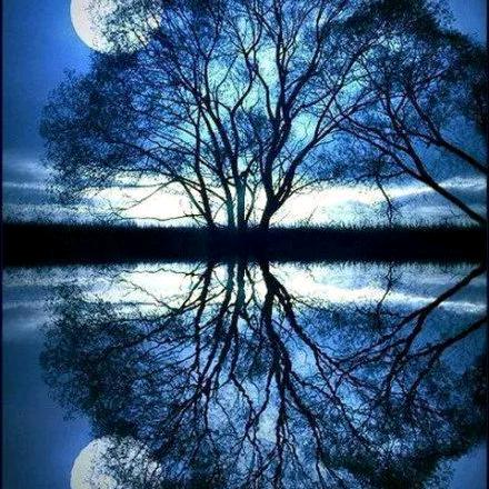 两城凌云家电林代红