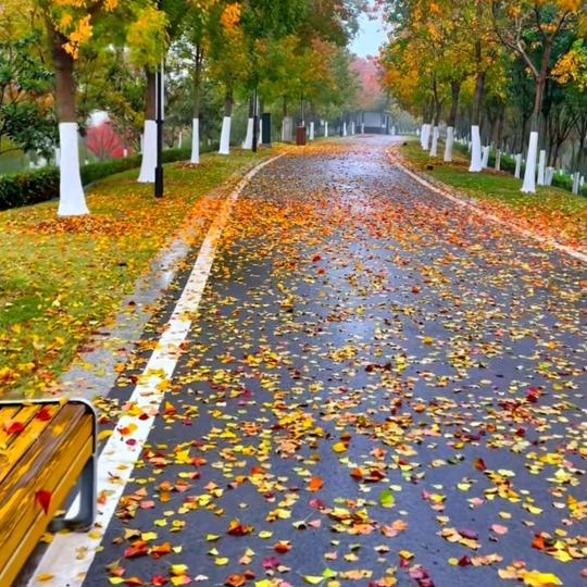 杨家宇臻选阁