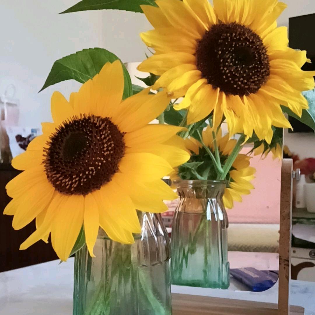 襾亠🌻